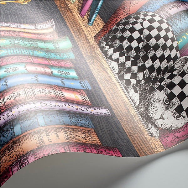 Fornasetti Libreria - Rich Multi Wallpaper by Cole & Son