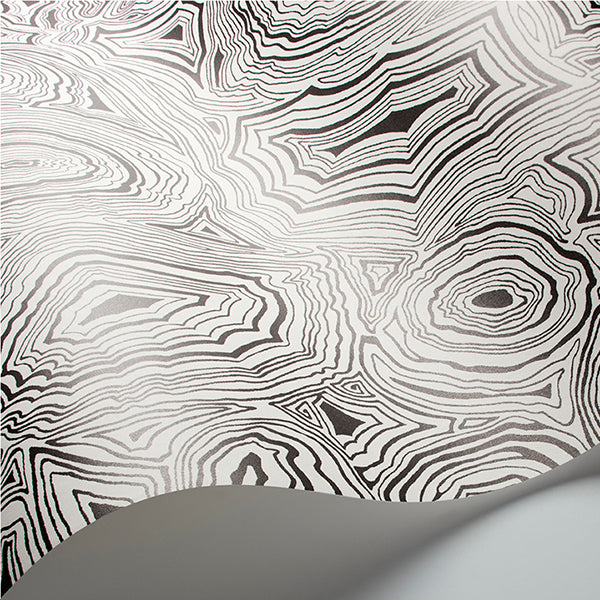 Fornasetti Malachite - White / Black Wallpaper by Cole & Son
