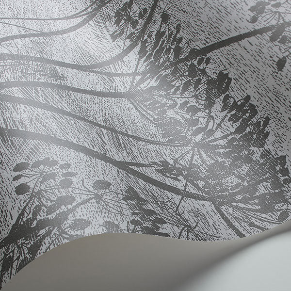 Cow Parsley in Charcoal Wallpaper by Cole & Son