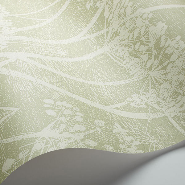Cow Parsley in Olive Wallpaper by Cole & Son