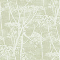 Cow Parsley in Olive Wallpaper by Cole & Son