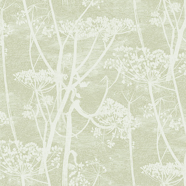 Cow Parsley in Olive Wallpaper by Cole & Son