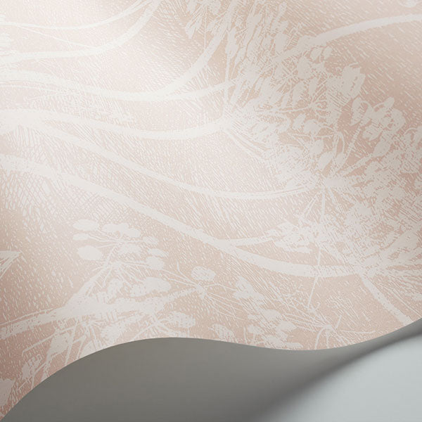 Cow Parsley in Plaster Pink Wallpaper by Cole & Son