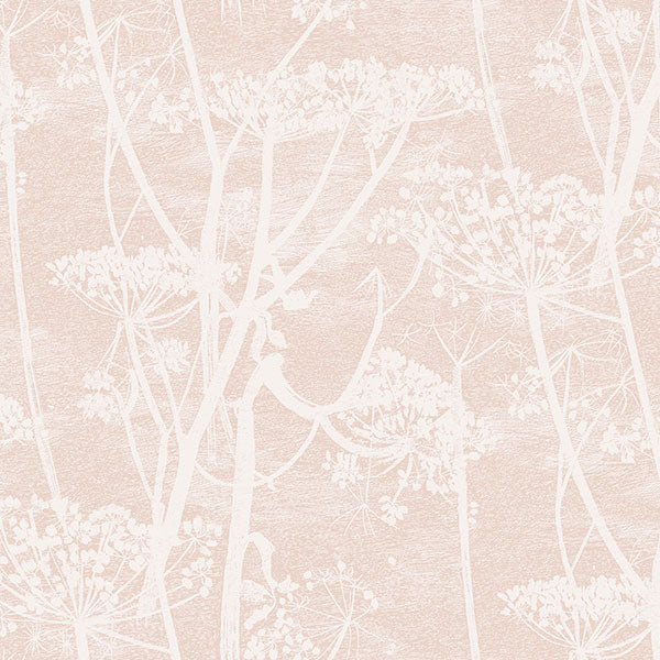Cow Parsley in Plaster Pink Wallpaper by Cole & Son