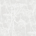 Cow Parsley in White Wallpaper by Cole & Son
