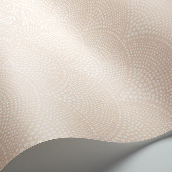 Feather Fan in Plaster Pink Wallpaper by Cole & Son