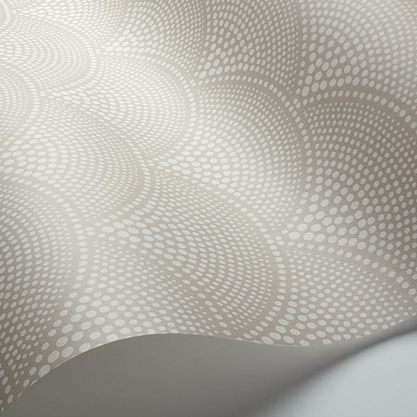 Feather Fan in Taupe Wallpaper by Cole & Son