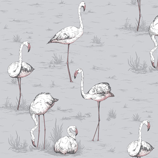 Flamingos in Grey Wallpaper by Cole & Son