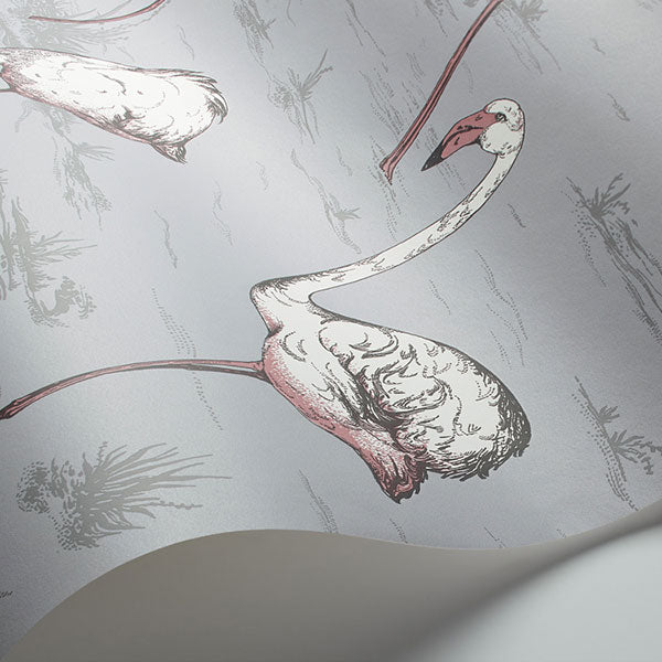 Flamingos in Grey Wallpaper by Cole & Son