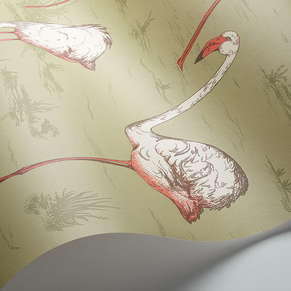Flamingos in Olive Wallpaper by Cole & Son