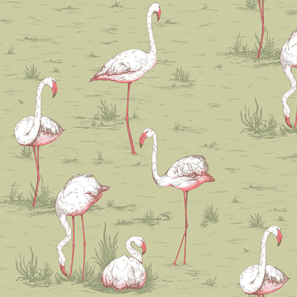 Flamingos in Olive Wallpaper by Cole & Son
