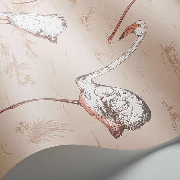 Flamingos in Plaster Pink Wallpaper by Cole & Son