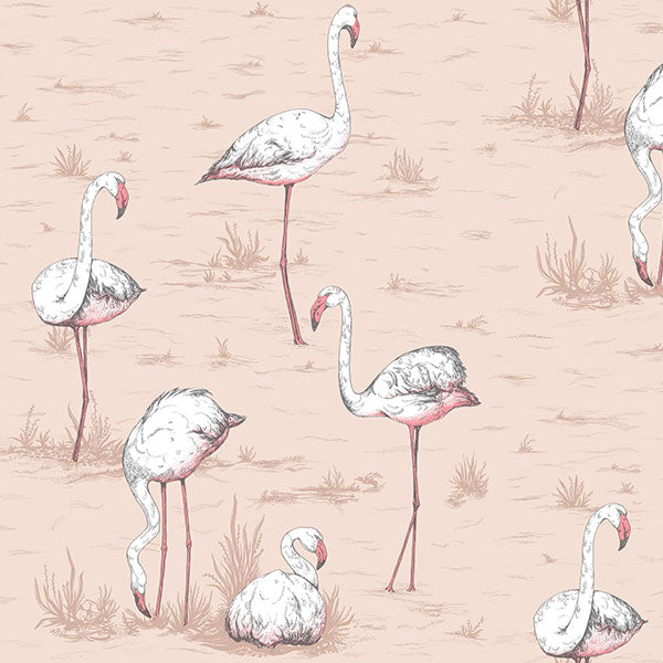 Flamingos in Plaster Pink Wallpaper by Cole & Son