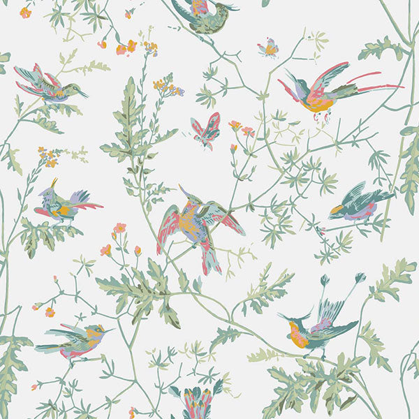 Hummingbirds in Pastel Wallpaper by Cole & Son