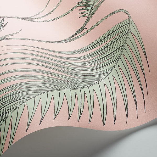 Palm Leaves in Plaster Pink & Mint Wallpaper by Cole & Son