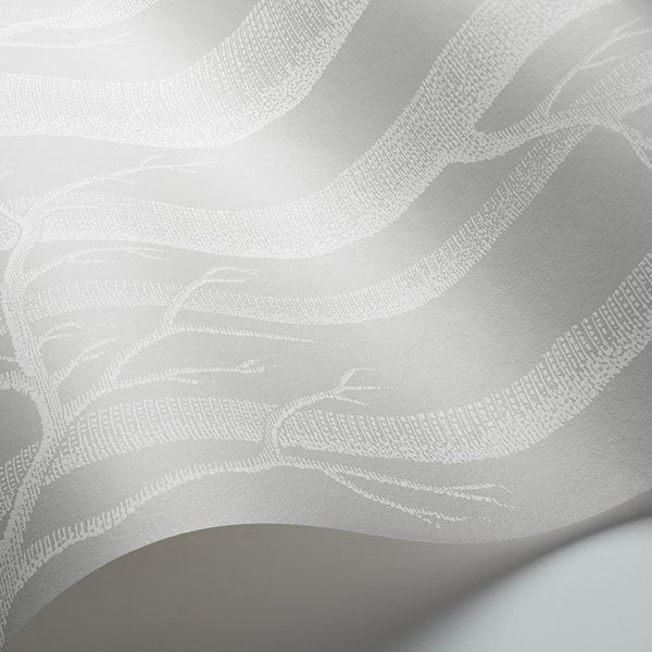 Woods in Grey & White Wallpaper by Cole & Son