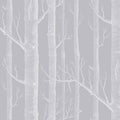Woods in Grey & White Wallpaper by Cole & Son