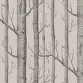 Woods in Linen & Charcoal Wallpaper by Cole & Son