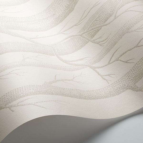 Woods in Parchment Wallpaper by Cole & Son