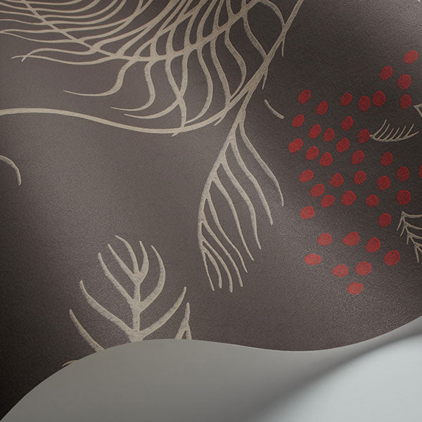 Cole & Son Wallpaper - New Contemporary II - Mimosa in Charcoal