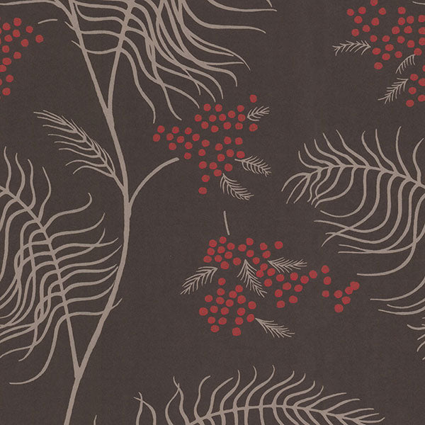 Cole & Son Wallpaper - New Contemporary II - Mimosa in Charcoal