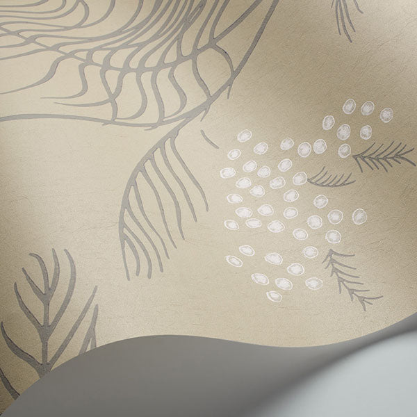 Cole & Son Wallpaper New Contemporary II Mimosa in Sandstone