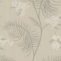 Cole & Son Wallpaper - New Contemporary II - Mimosa in Sandstone