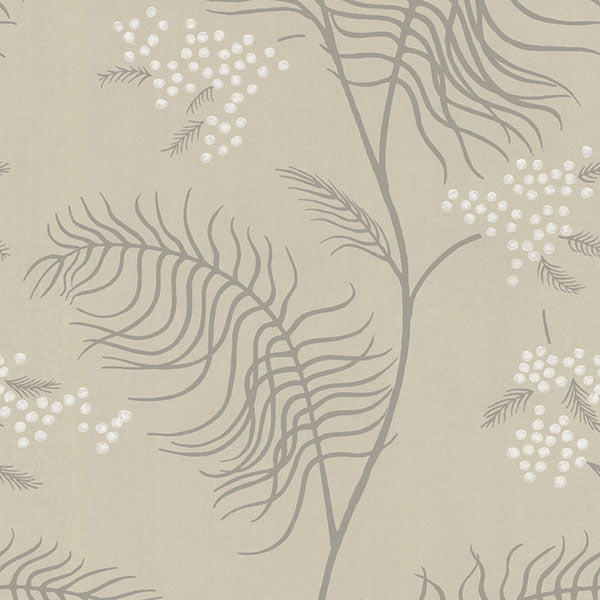 Cole & Son Wallpaper - New Contemporary II - Mimosa in Sandstone