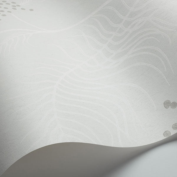 Cole & Son Wallpaper - New Contemporary II - Mimosa in Slate
