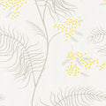 Cole & Son Wallpaper - New Contemporary II - Mimosa in White