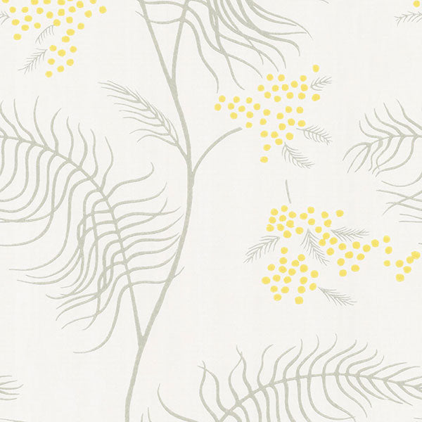 Cole & Son Wallpaper - New Contemporary II - Mimosa in White
