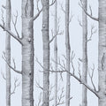 Woods in Chocolate & Silver Wallpaper by Cole & Son