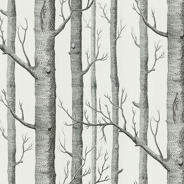 New Contemporary