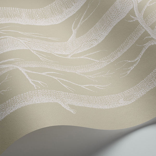 Woods in White & Taupe Wallpaper by Cole & Son