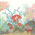 Archipelago Border Wallpaper by Cole & Son
