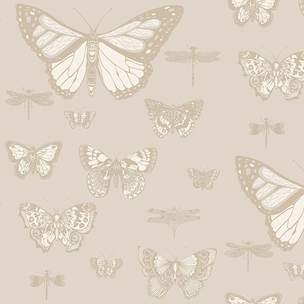 Butterflies & Dragonflies in Grey Wallpaper by Cole & Son