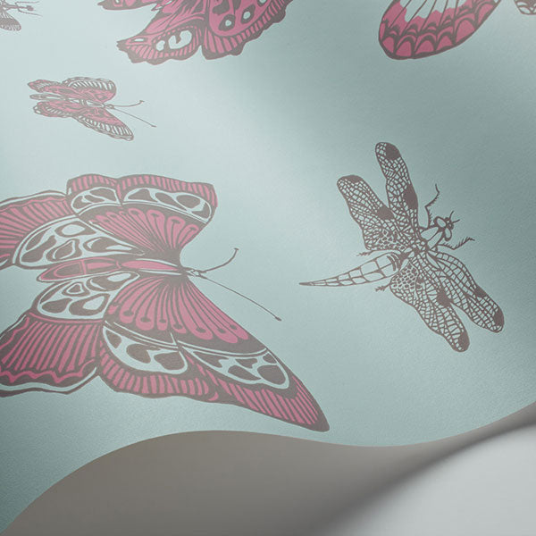 Butterflies & Dragonflies in Pink on Blue Wallpaper by Cole & Son