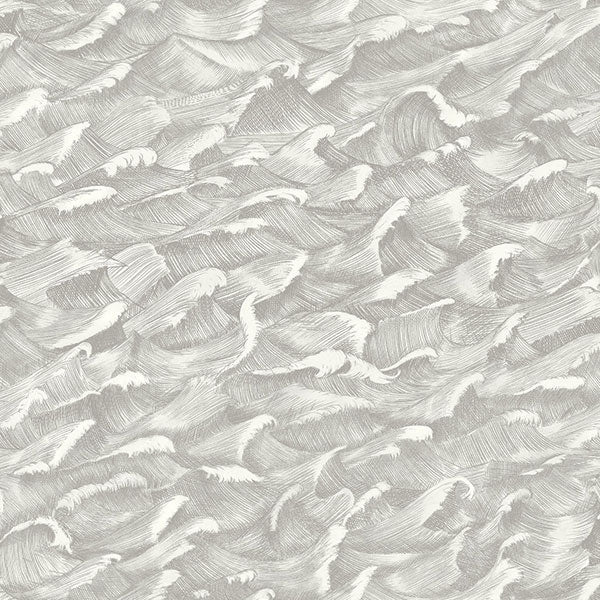 Columbus in Black & White Wallpaper by Cole & Son