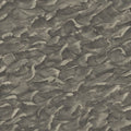 Columbus in Gilver Wallpaper by Cole & Son