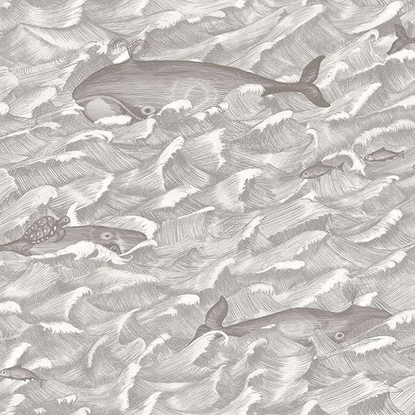 Melville in Black & White Wallpaper by Cole & Son