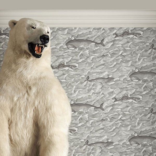 Melville in Black & White Wallpaper by Cole & Son