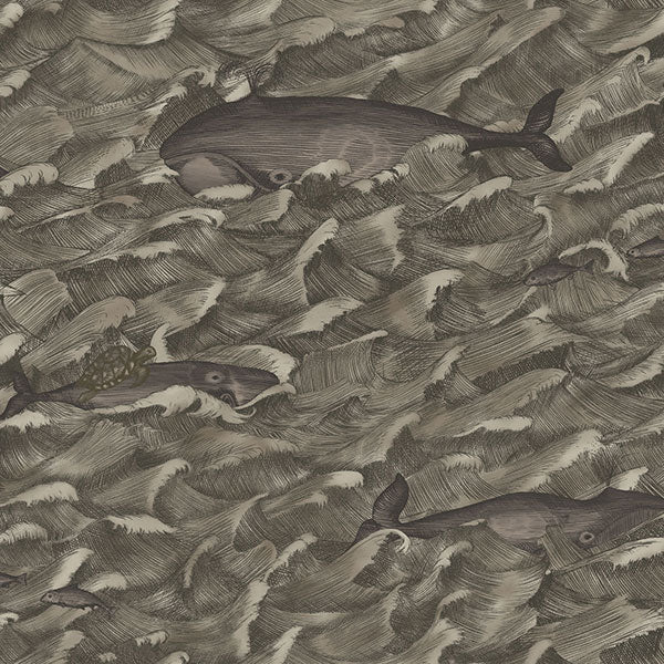 Melville in Charcoal Wallpaper by Cole & Son