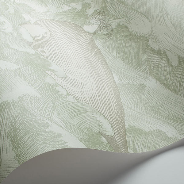 Melville in Green Wallpaper by Cole & Son