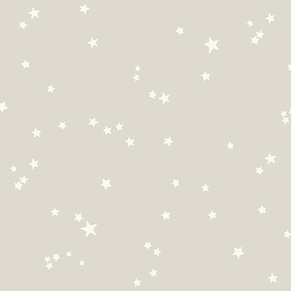 Stars in Grey & White Wallpaper by Cole & Son