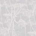Cole & Son - Contemporary Restyled - Cow Parsley - Vertigo Home