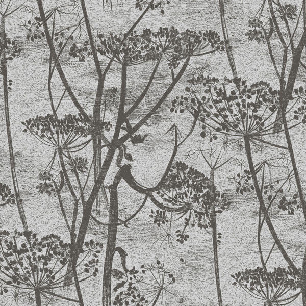 Cole & Son - Contemporary Restyled - Cow Parsley at www.vertigohome.us