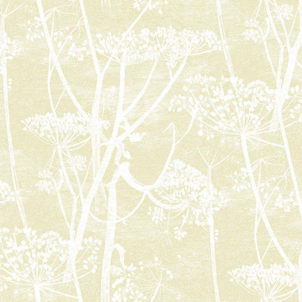 Cole & Son - Contemporary Restyled - Cow Parsley - Vertigo Home