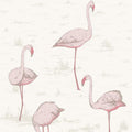 Cole & Son - Contemporary Restyled - Flamingos - Vertigo Home