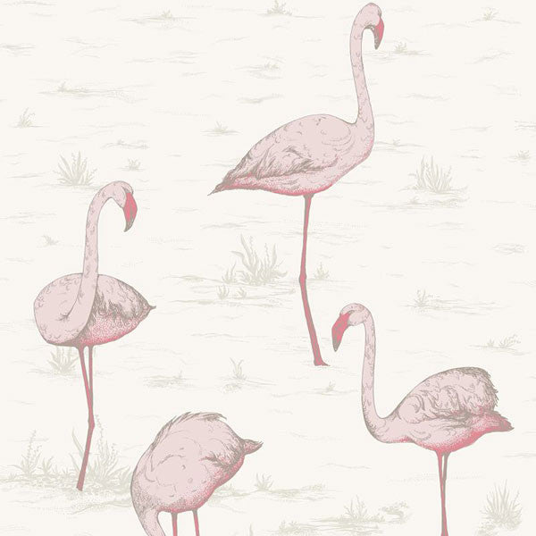 Cole & Son - Contemporary Restyled - Flamingos - Vertigo Home