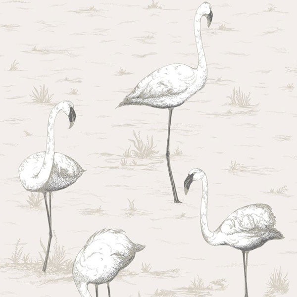 Cole & Son - Contemporary Restyled - Flamingos - Vertigo Home
